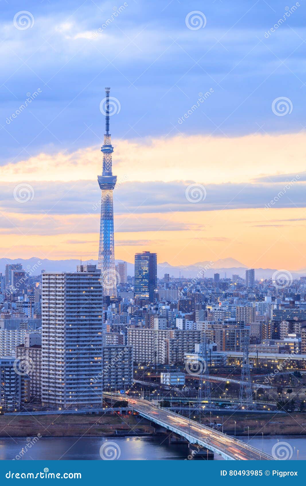 Cidade Do Toquio Com A Arvore Do Ceu De Tokyo No Tempo Do Por Do Sol Imagem De Stock Imagem De Cidade Cena Cidade Do Toquio Com A Arvore Do Ceu De Tokyo No Tempo Do Por Do Sol Imagem De Stock Imagem De Cidade Cena