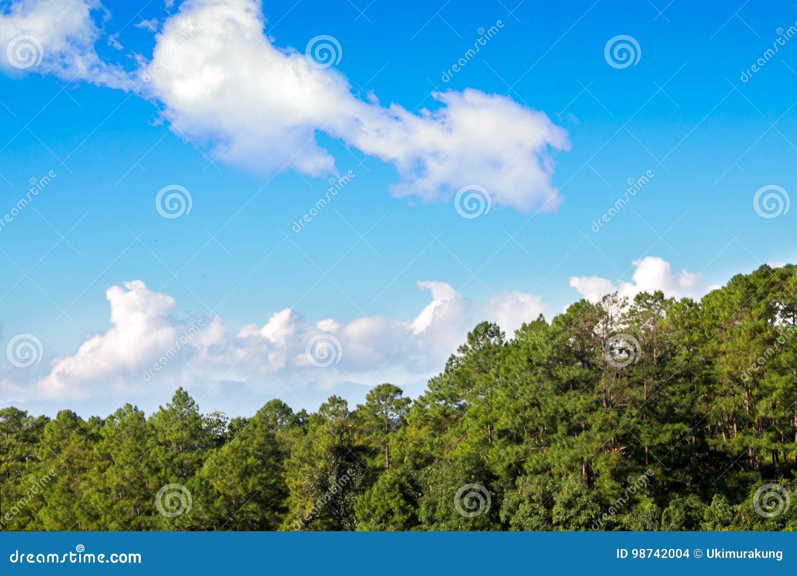 Cielo azul con la nube y el bosque
