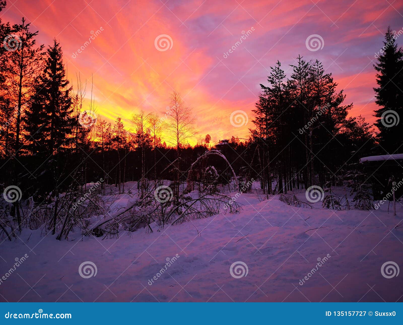 Cielo Caliente Del Invierno Imagen de archivo - Imagen de campo, indirecta:  135157727