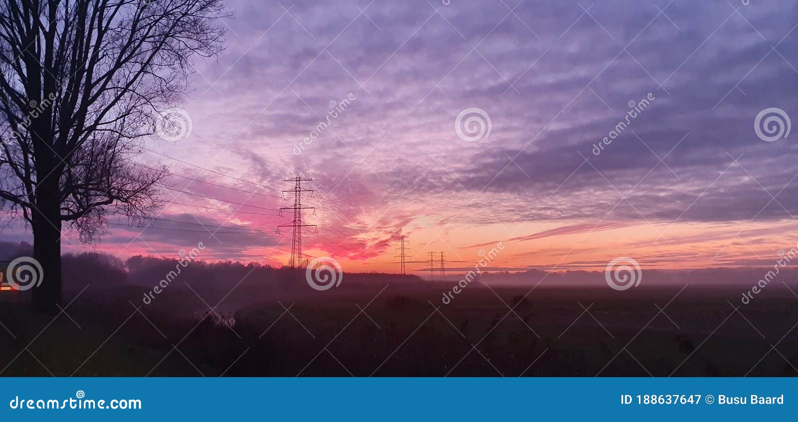 Cielo Caliente Por La Noche árbol Para Ver Imagen de archivo - Imagen de  cielo, tarde: 188637647