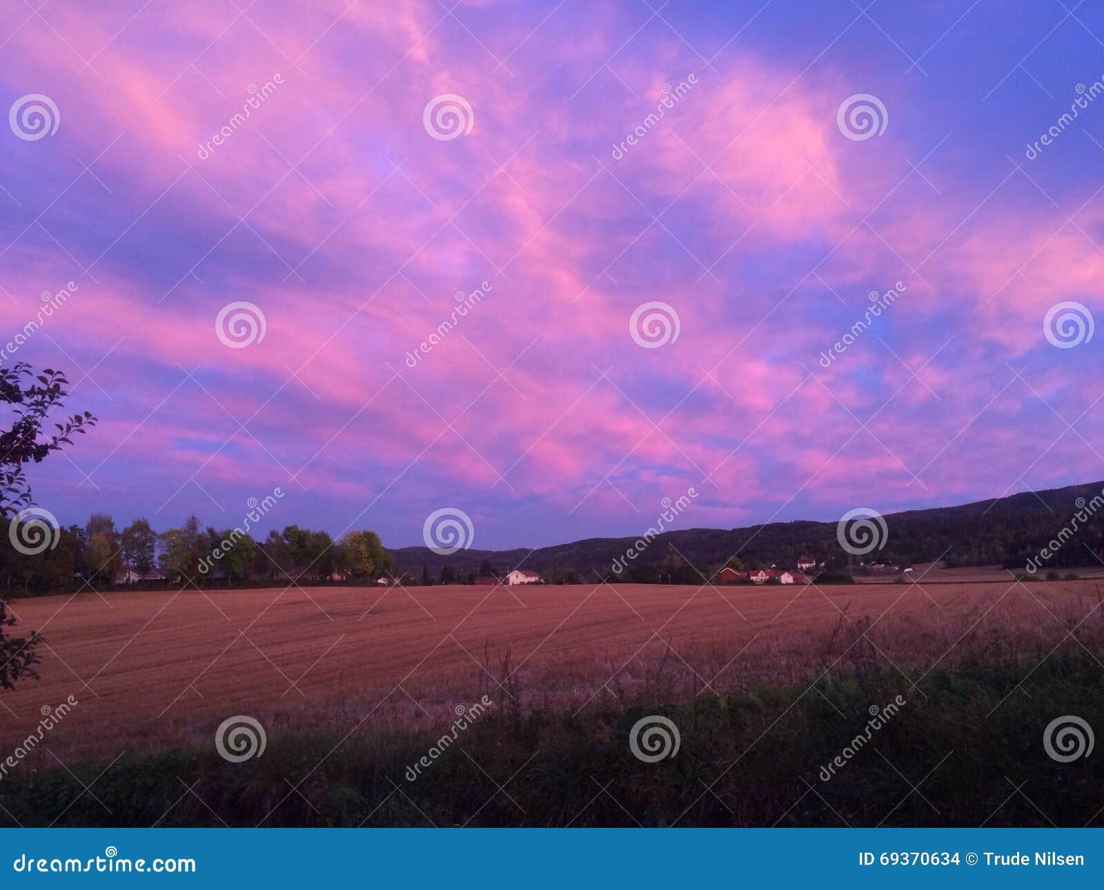 Cielo rosa. Rosa e cieli blu con le nuvole