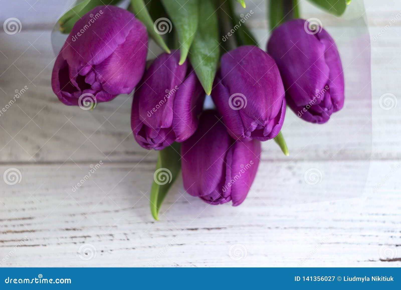 Ciemni lili tulipany pakuje na białym drewnianym tle w klingerycie. Ciemni lili tulipany pakuje na białym drewnianym background/w klingerycie
