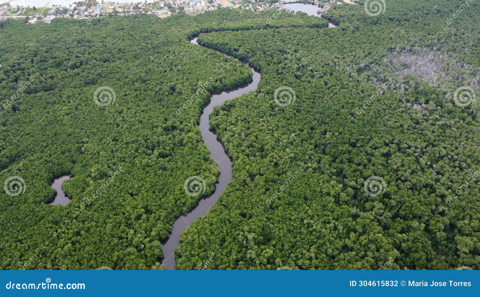 cienaga la caimanera landscape photography with drone over colombia