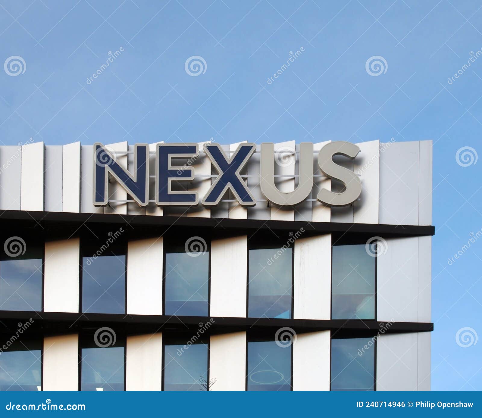 Nexus Negócios