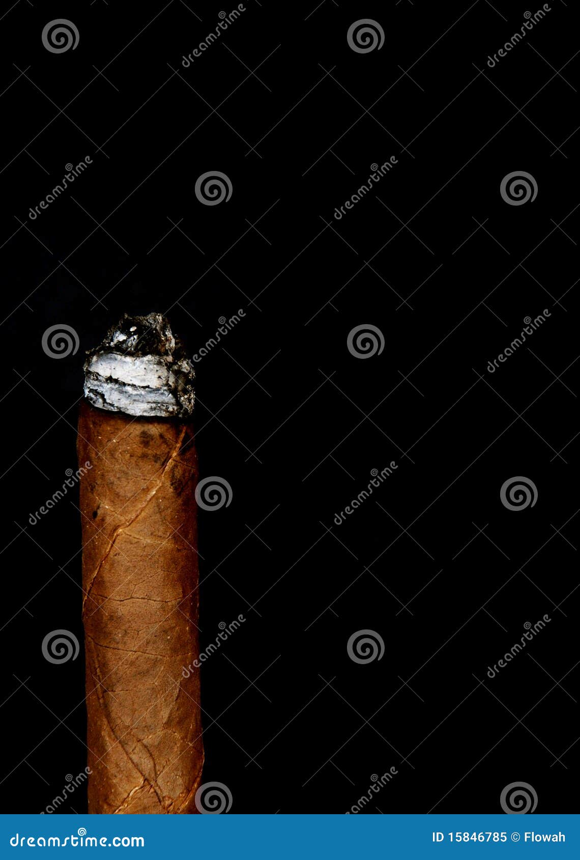 Cigar burning stock image. Image of last, isolated, cigarettes 15846785