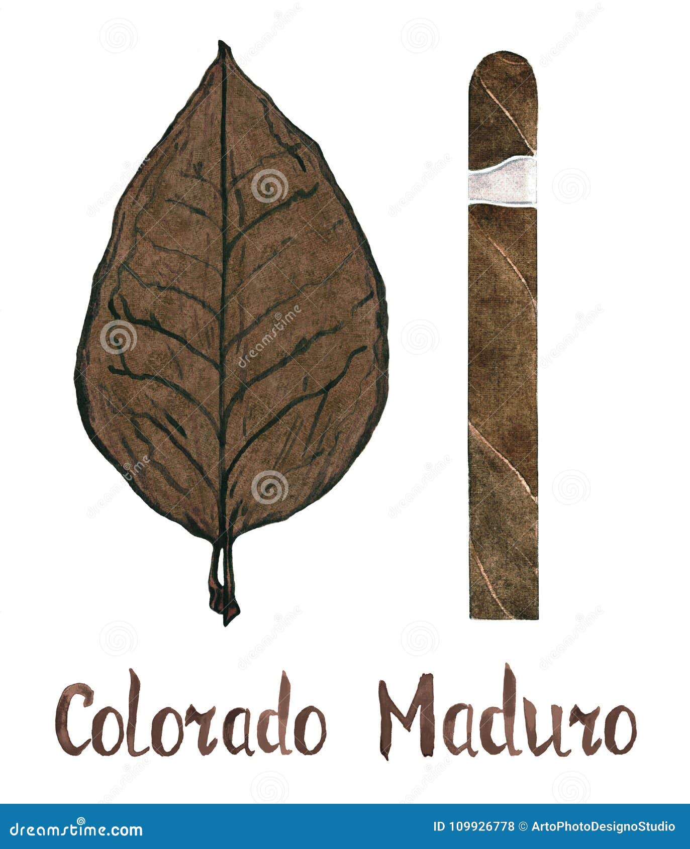 cigar colorado maduro wrapper leaf color type
