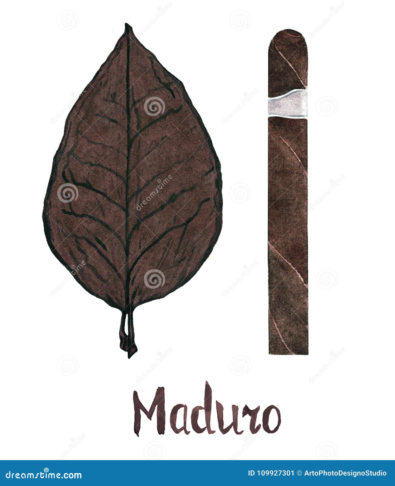 cigar maduro wrapper leaf color type