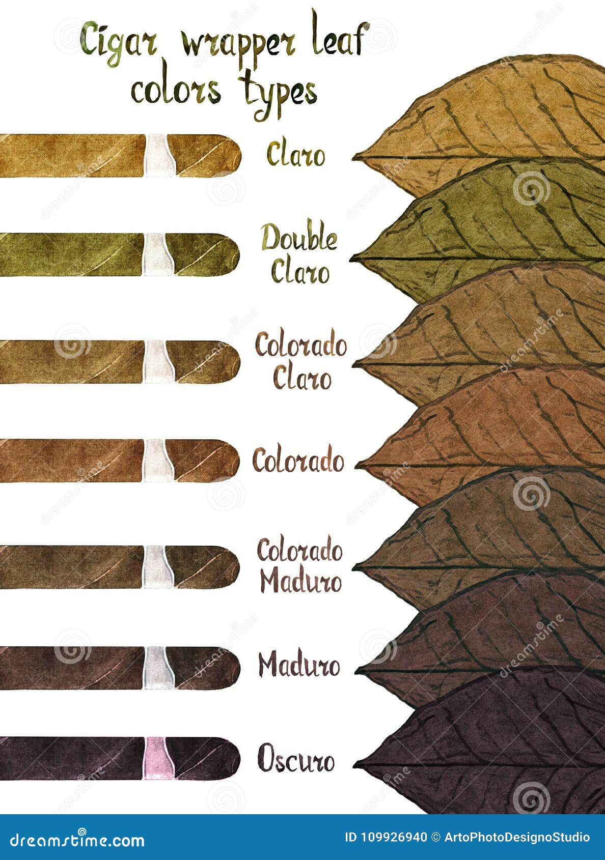 cigar wrapper leaf colors types: claro, double claro, colorado claro, colorado, colorado maduro, maduro and oscuro
