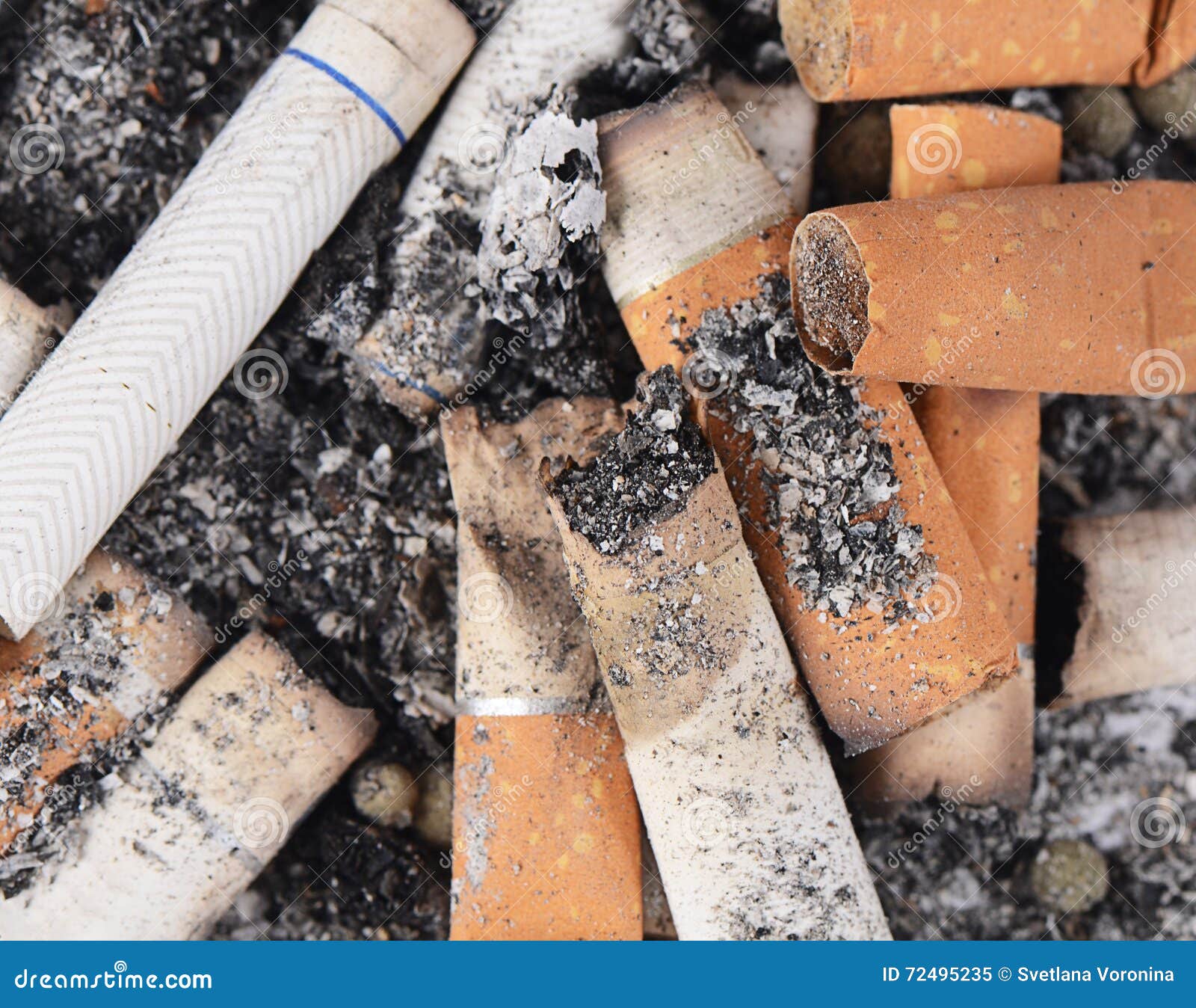 Cigarette Butts Amid the Ashes Stock Image Image of healthcare, poisonous 72495235