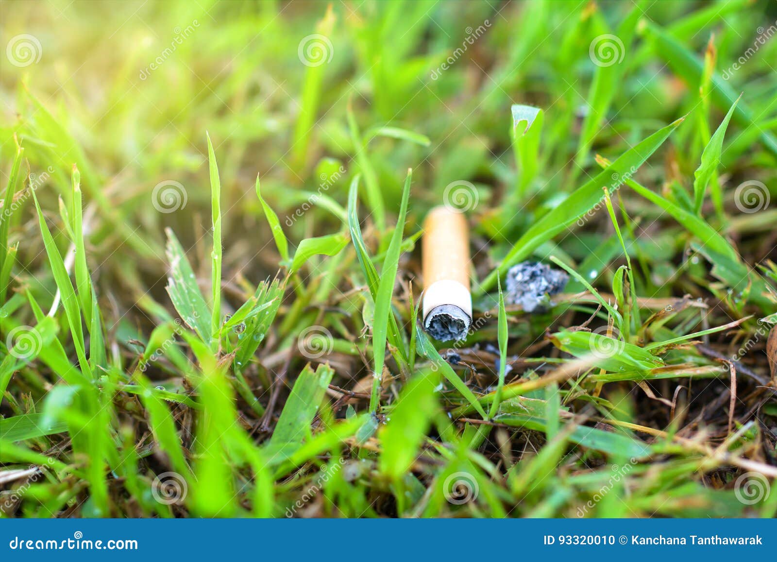 Cigarette on Grass Thrown Out on the Ground Stock Photo Image of