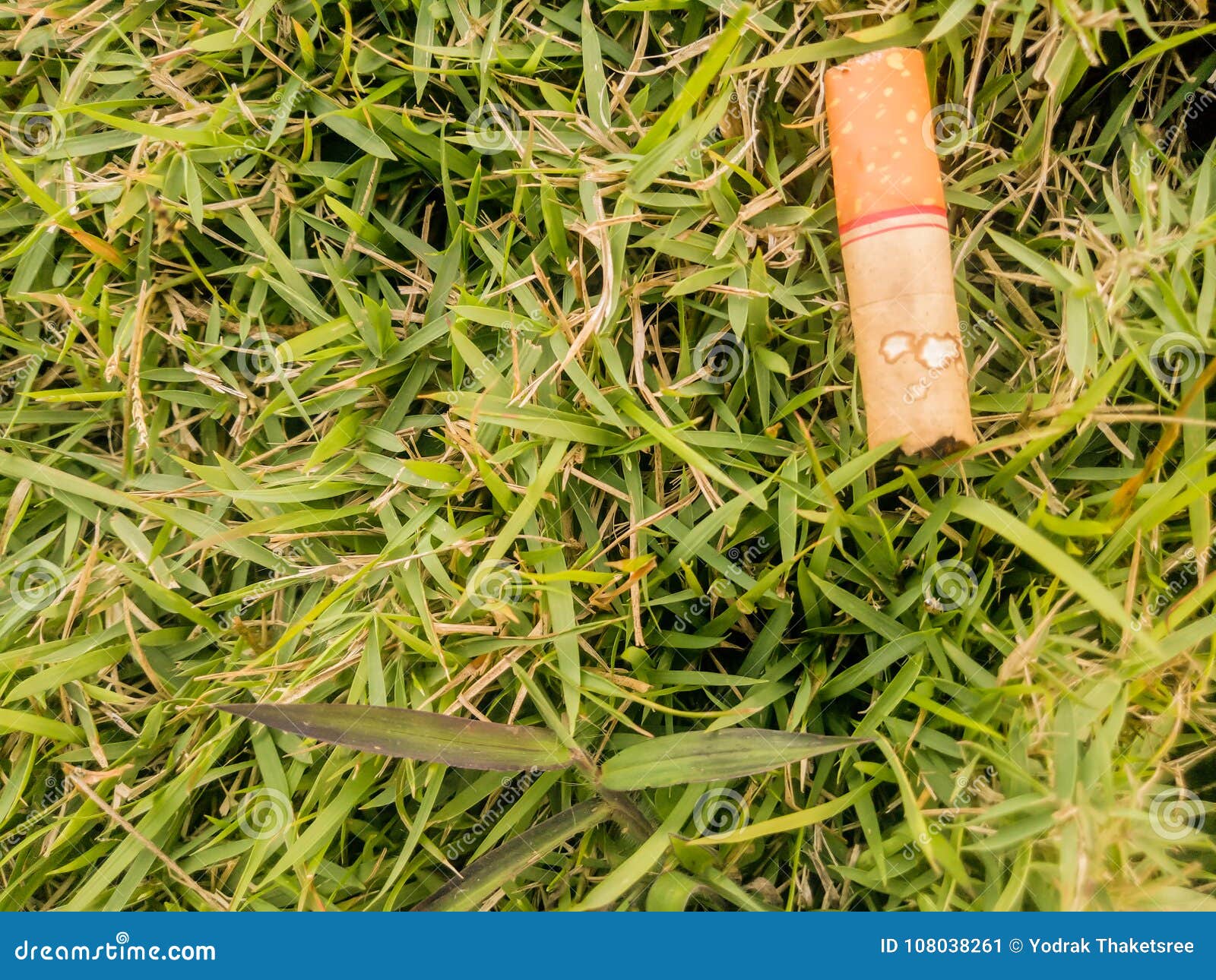 Cigarette stub stock image. Image of green, outdoor 108038261