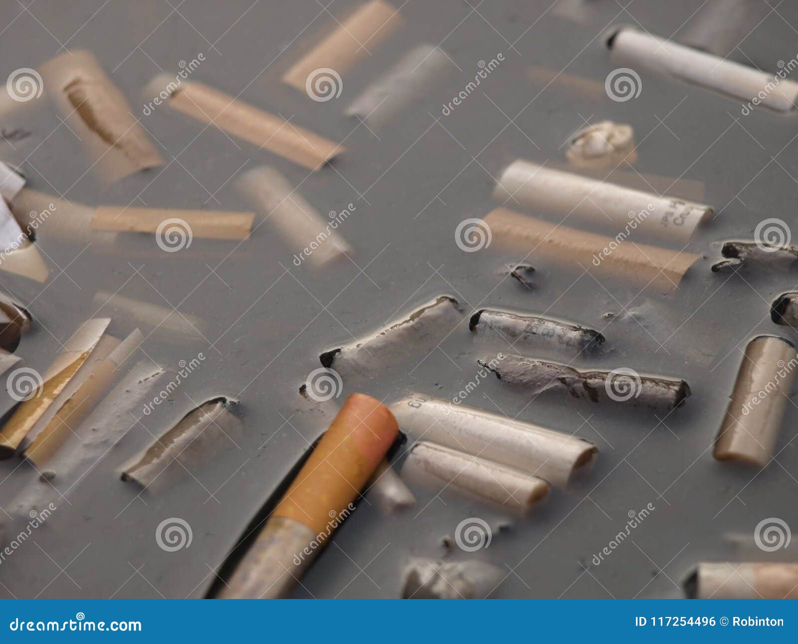 Cigaerettes stock photo. Image of cigarettes, litter 117254496