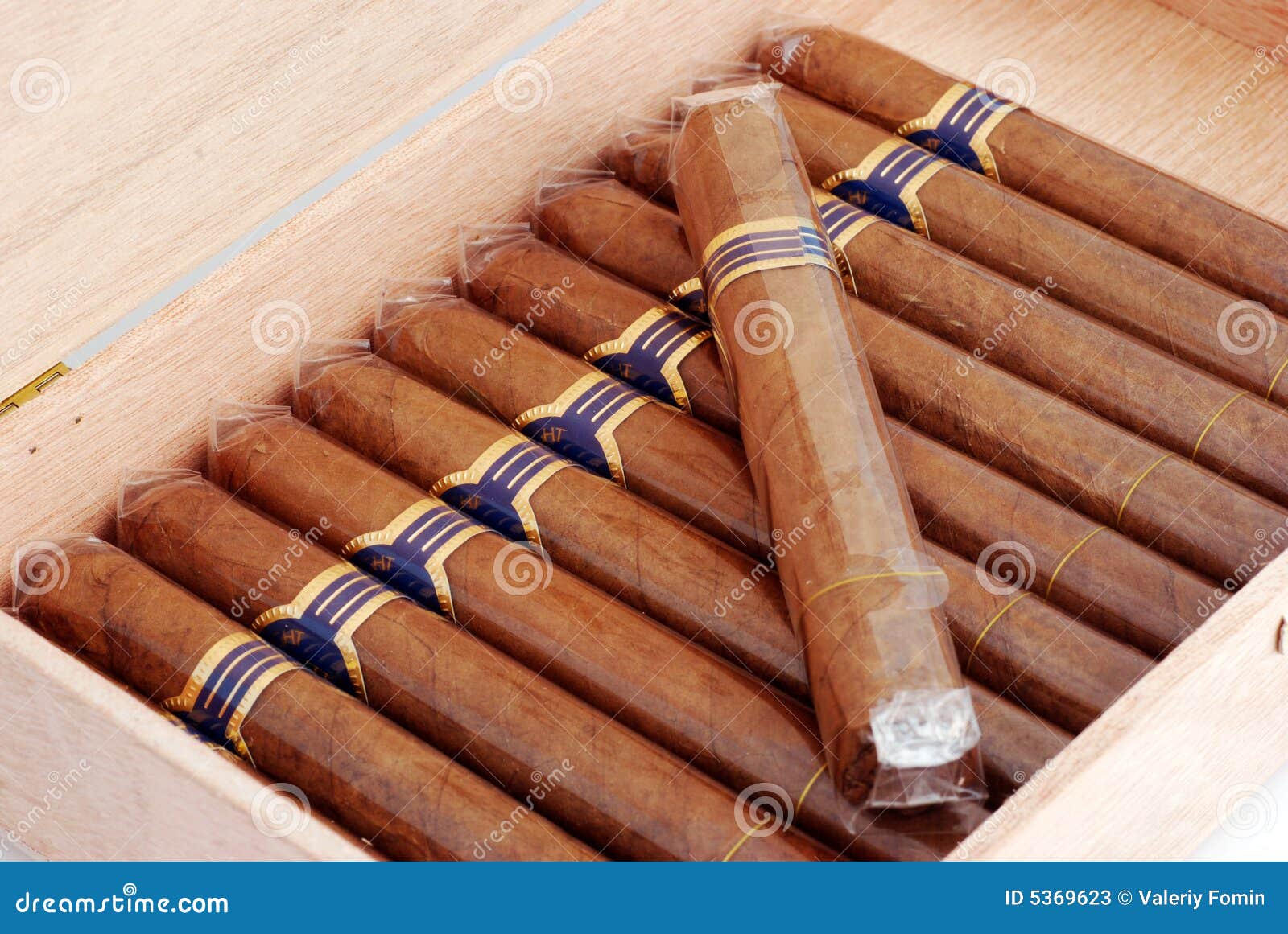 cigars in a humidor