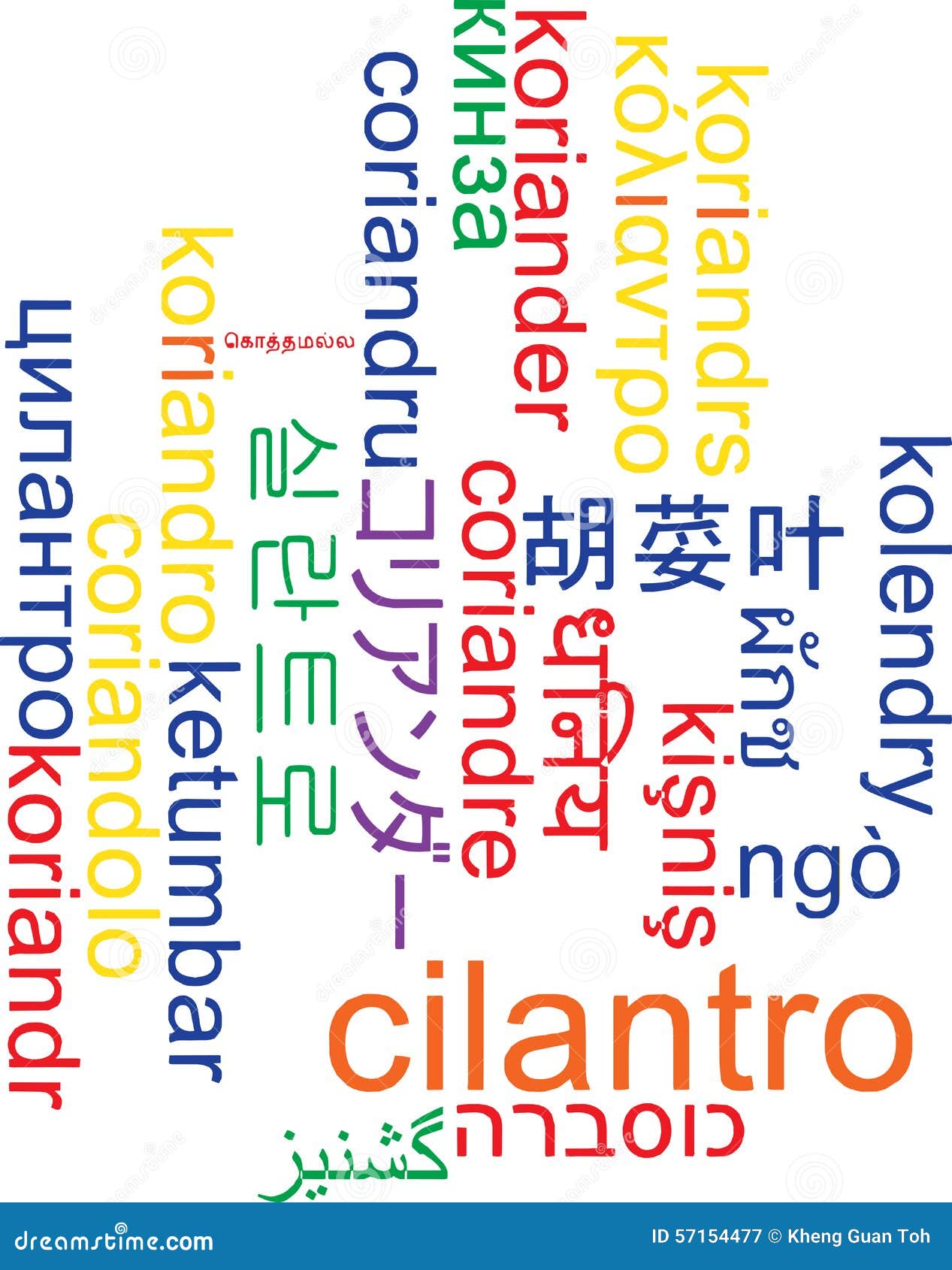 Cilantro Multilanguage Wordcloud Background Concept Stock Illustration