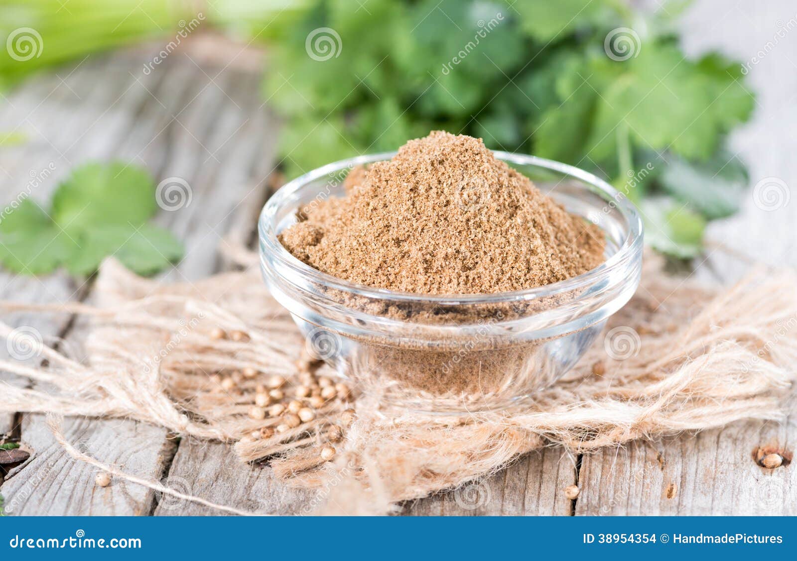 Cilantro Powder stock photo. Image of nature, eating 38954354