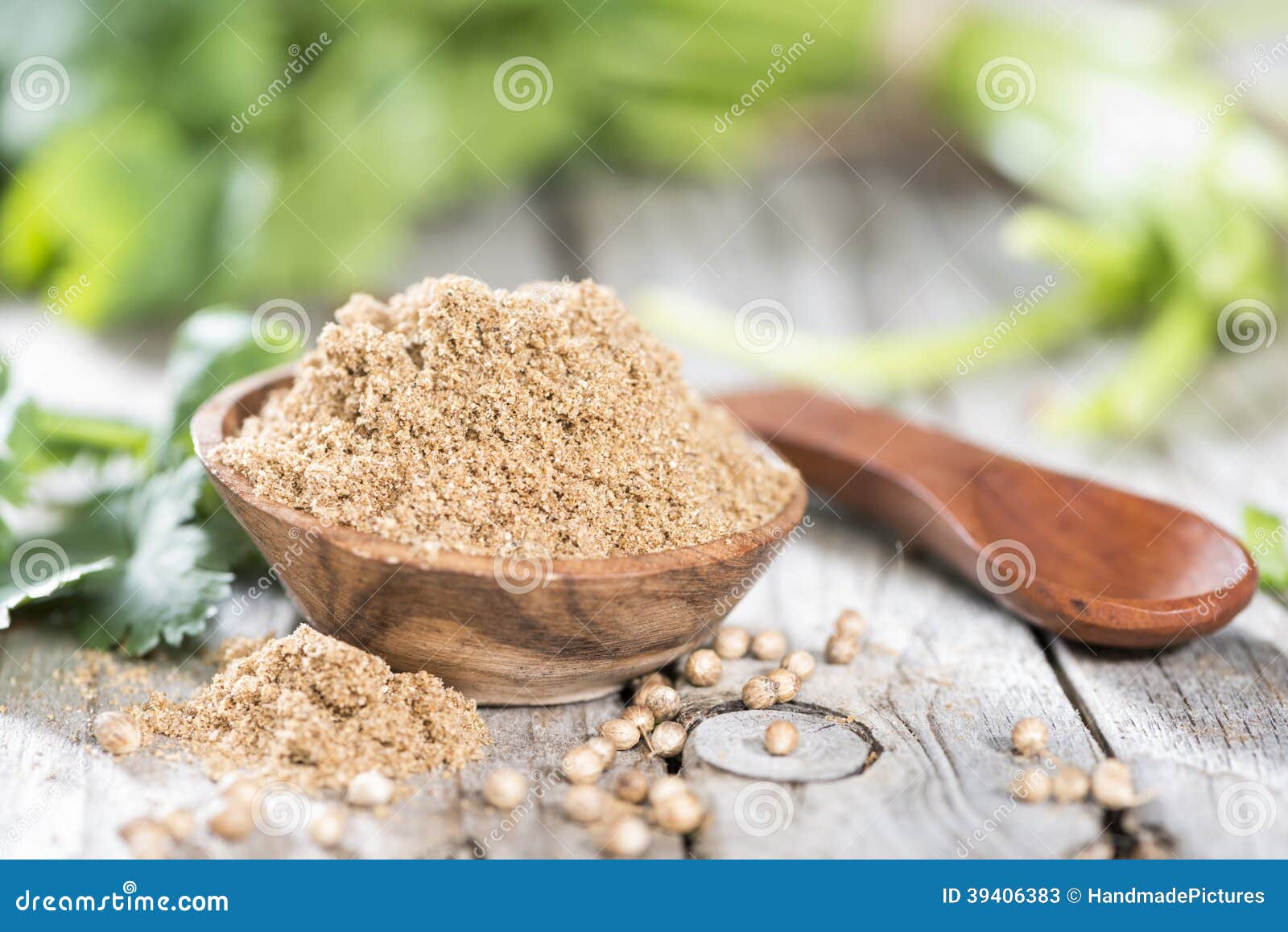 Cilantro Powder stock image. Image of powder, koriander 39406383