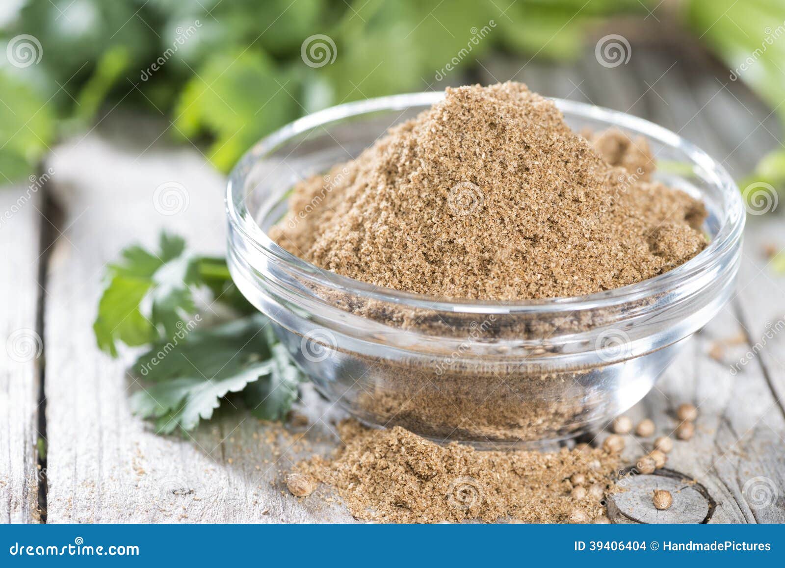 Cilantro Powder stock photo. Image of closeup, condiment 39406404