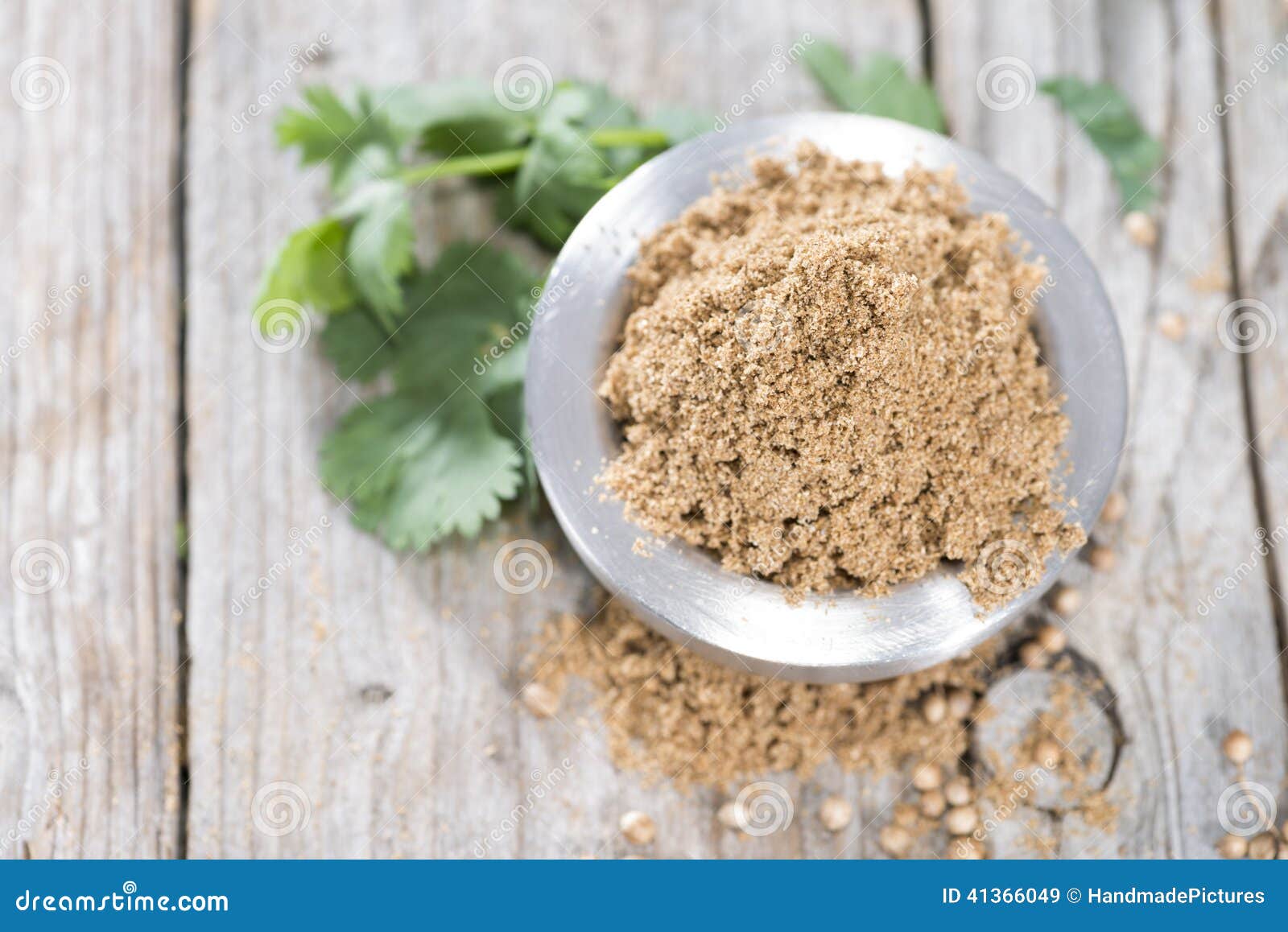 Cilantro Powder stock image. Image of organic, herbs 41366049