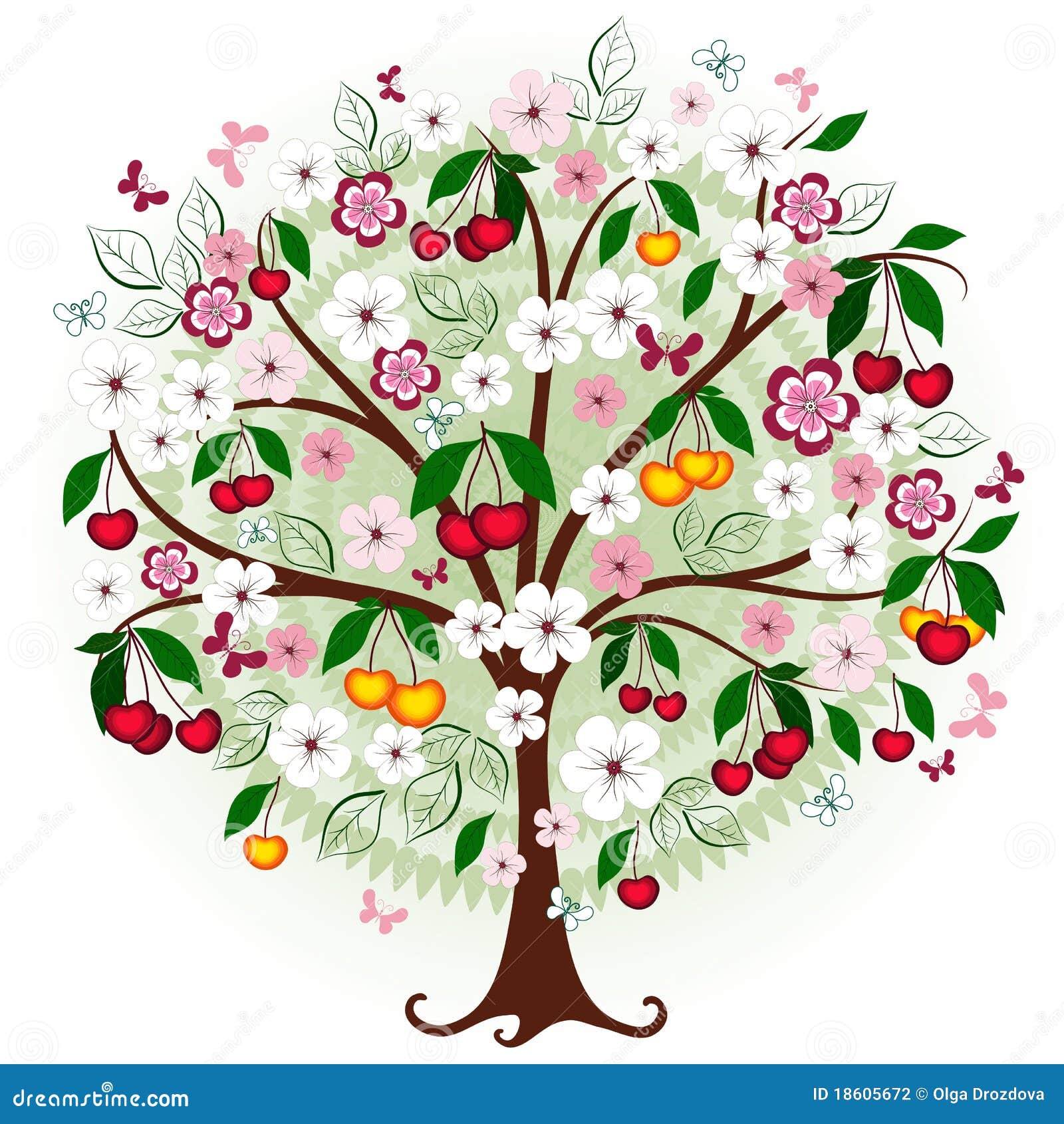 Ciliegio decorativo fotografia stock immagine Disegno ciliegio categoria natura da colorare Albero di fiori ciliegio vintage illustrazione
