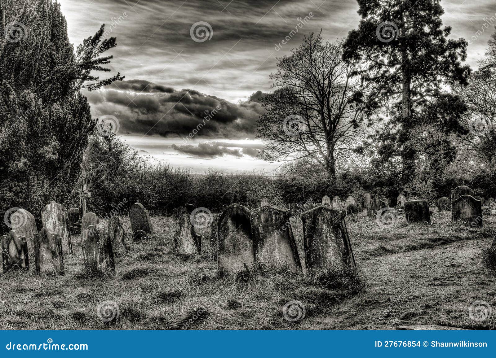 Cimetiere Noir Et Blanc Photo Stock Image Du Cimetiere