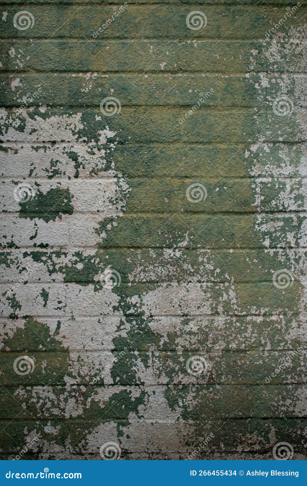 Cinder Block Wall with Green Peeling Paint Stock Photo Image of paint