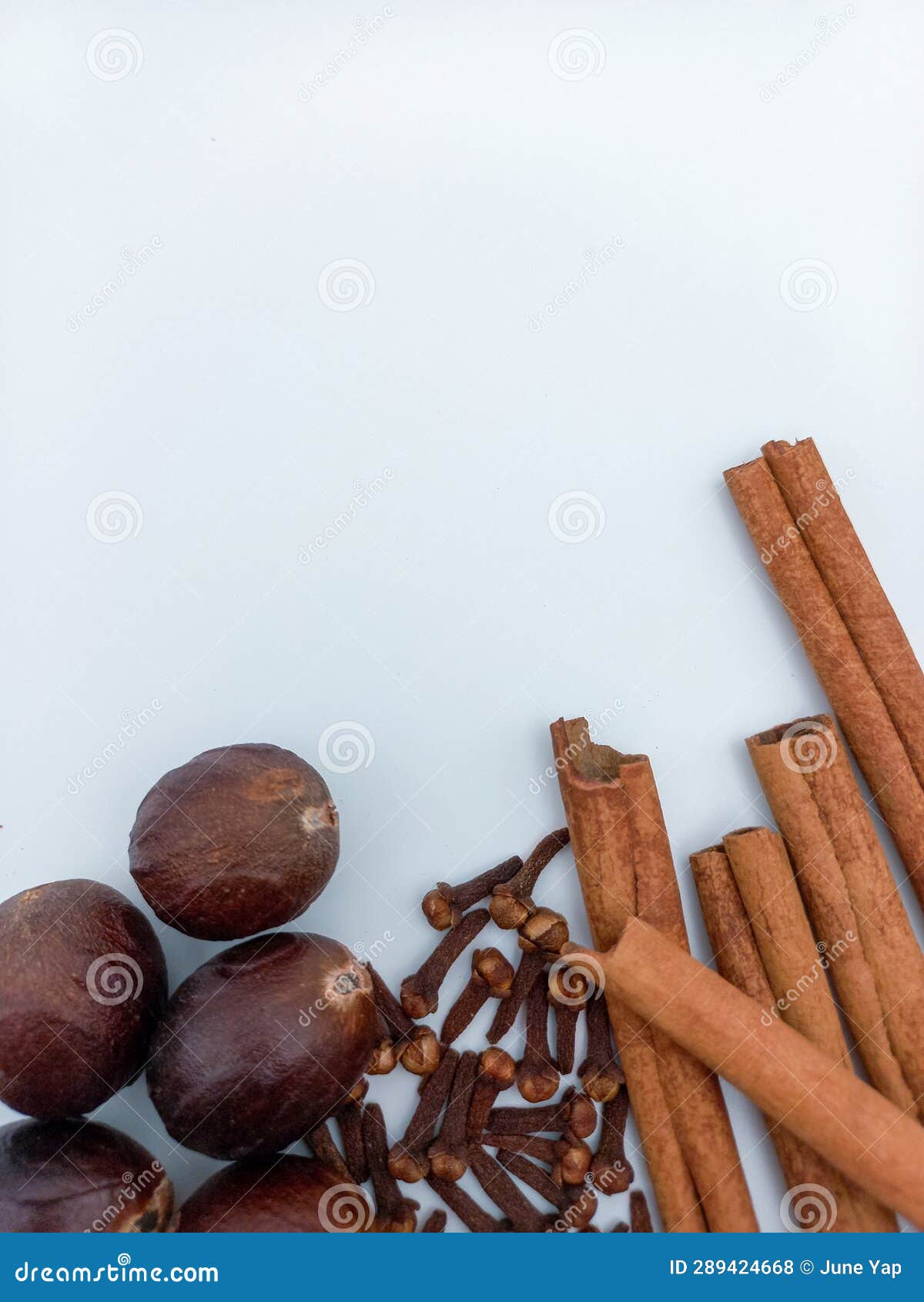 Cinnamon Cloves and Nutmeg Isolated on White Background. Bottom