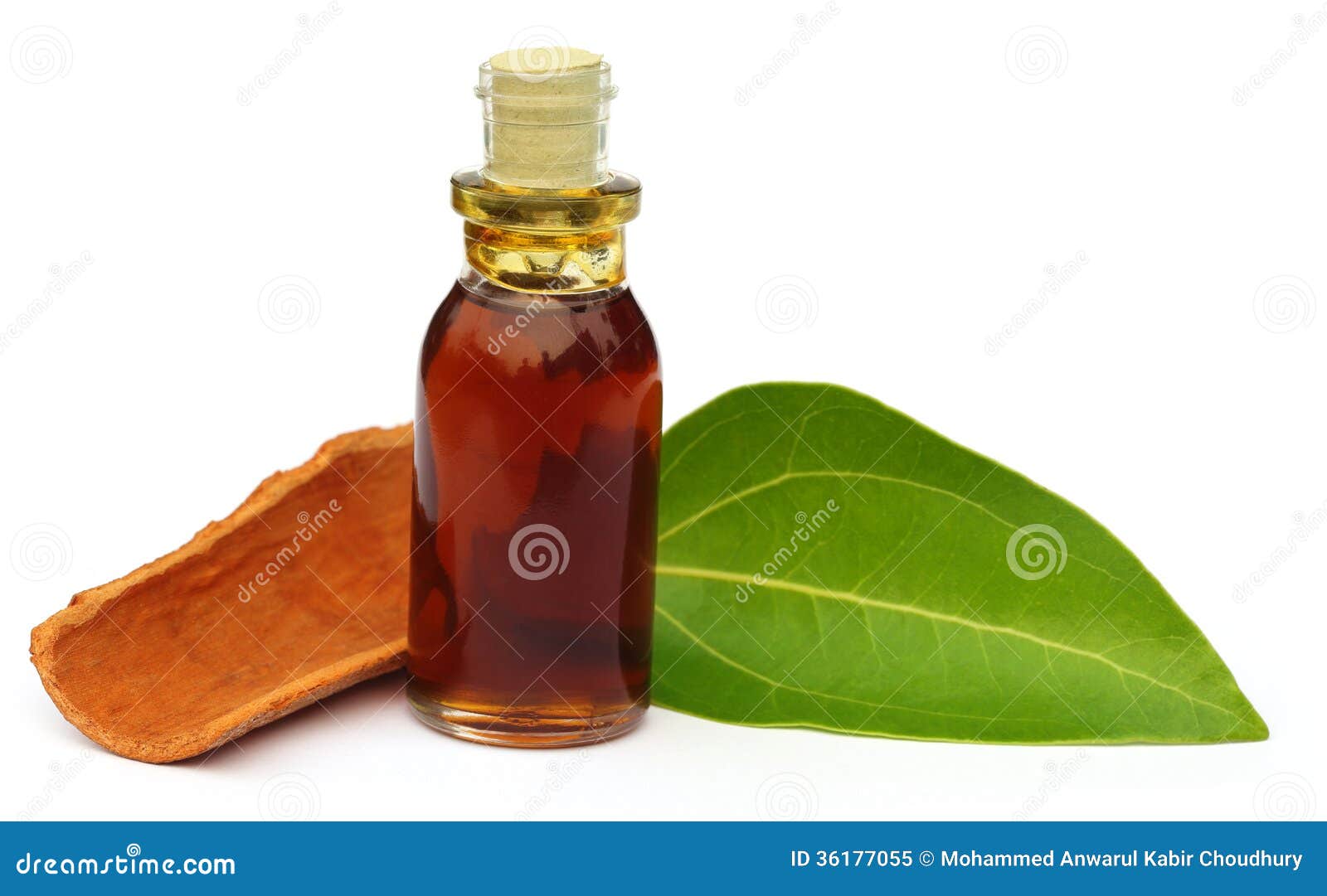 Cinnamon Leaf with Bark and Essential Oil Stock Image Image of bark