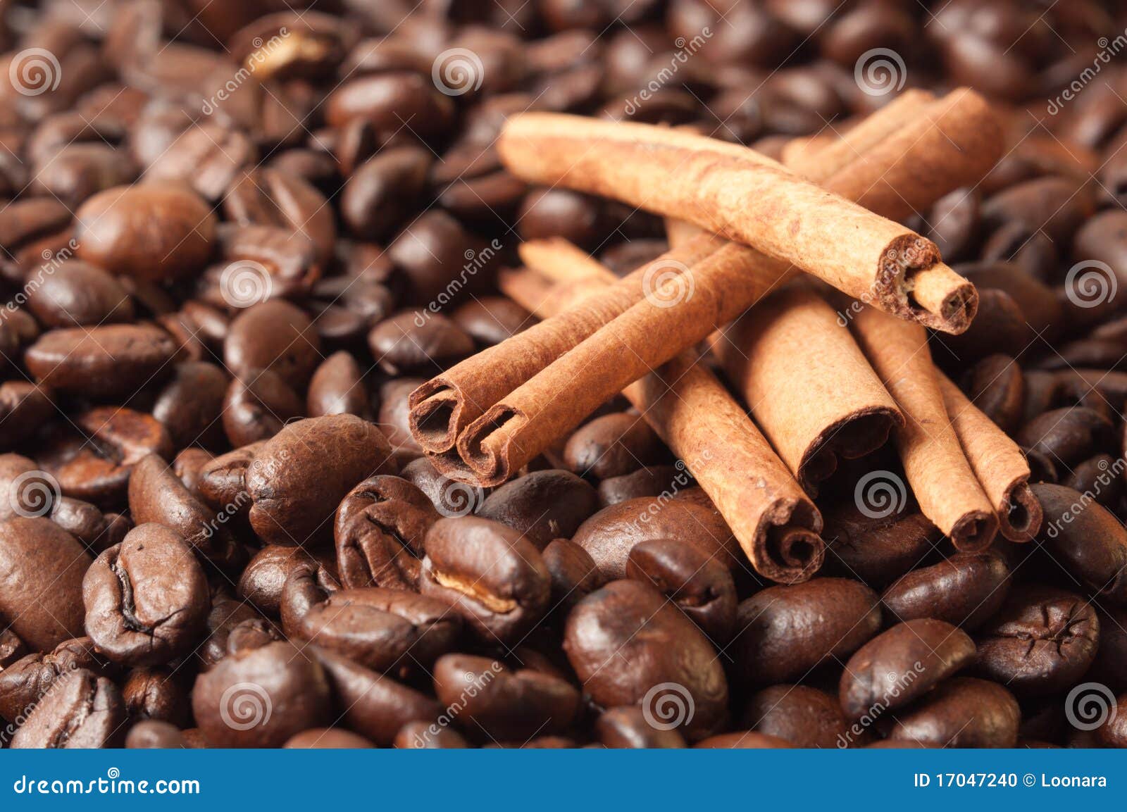 Cinnamon Rolls in Coffee Beans Stock Photo Image of studio, herb