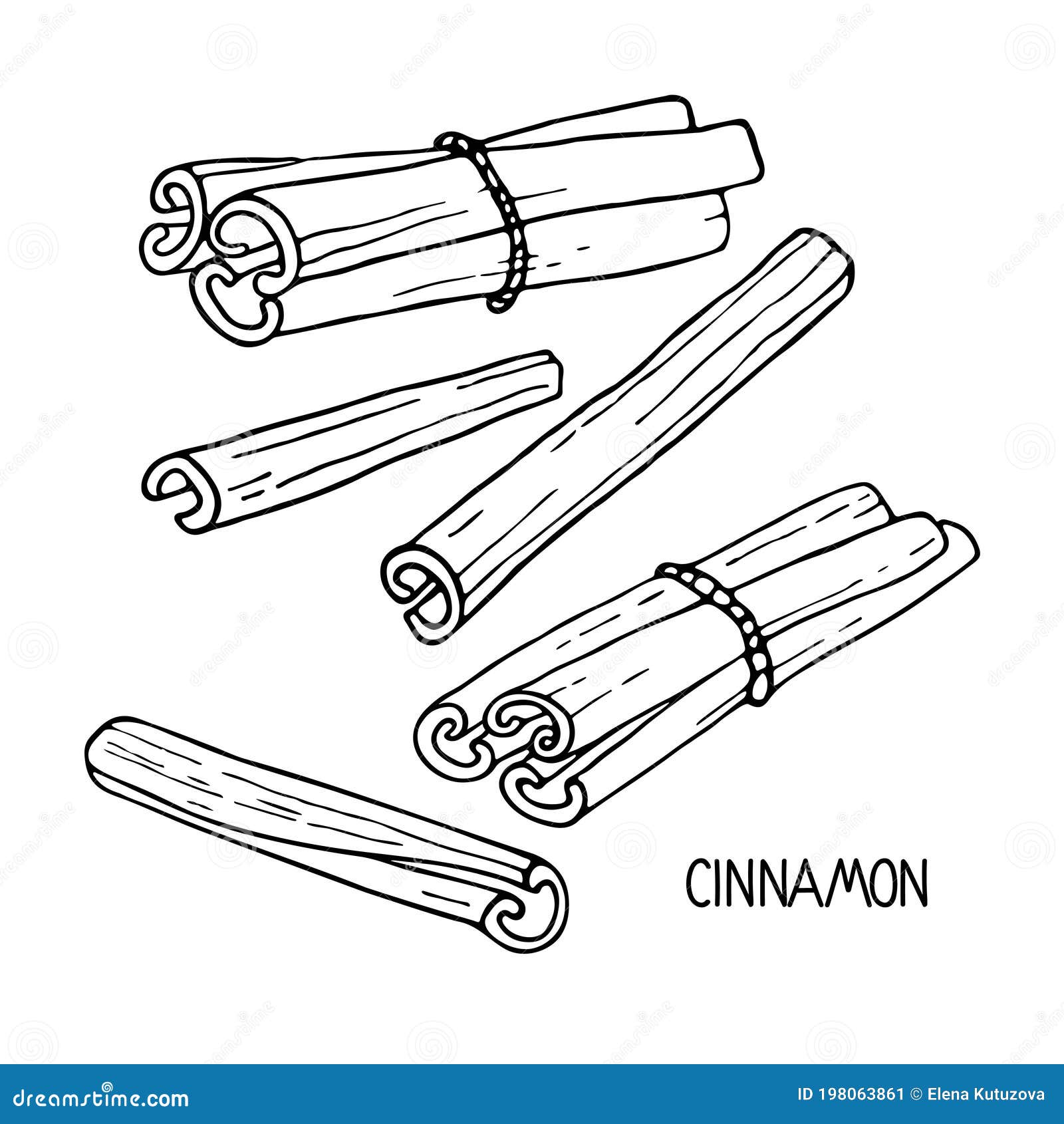 Cinnamon Vector Art  Graphics  freevectorcom