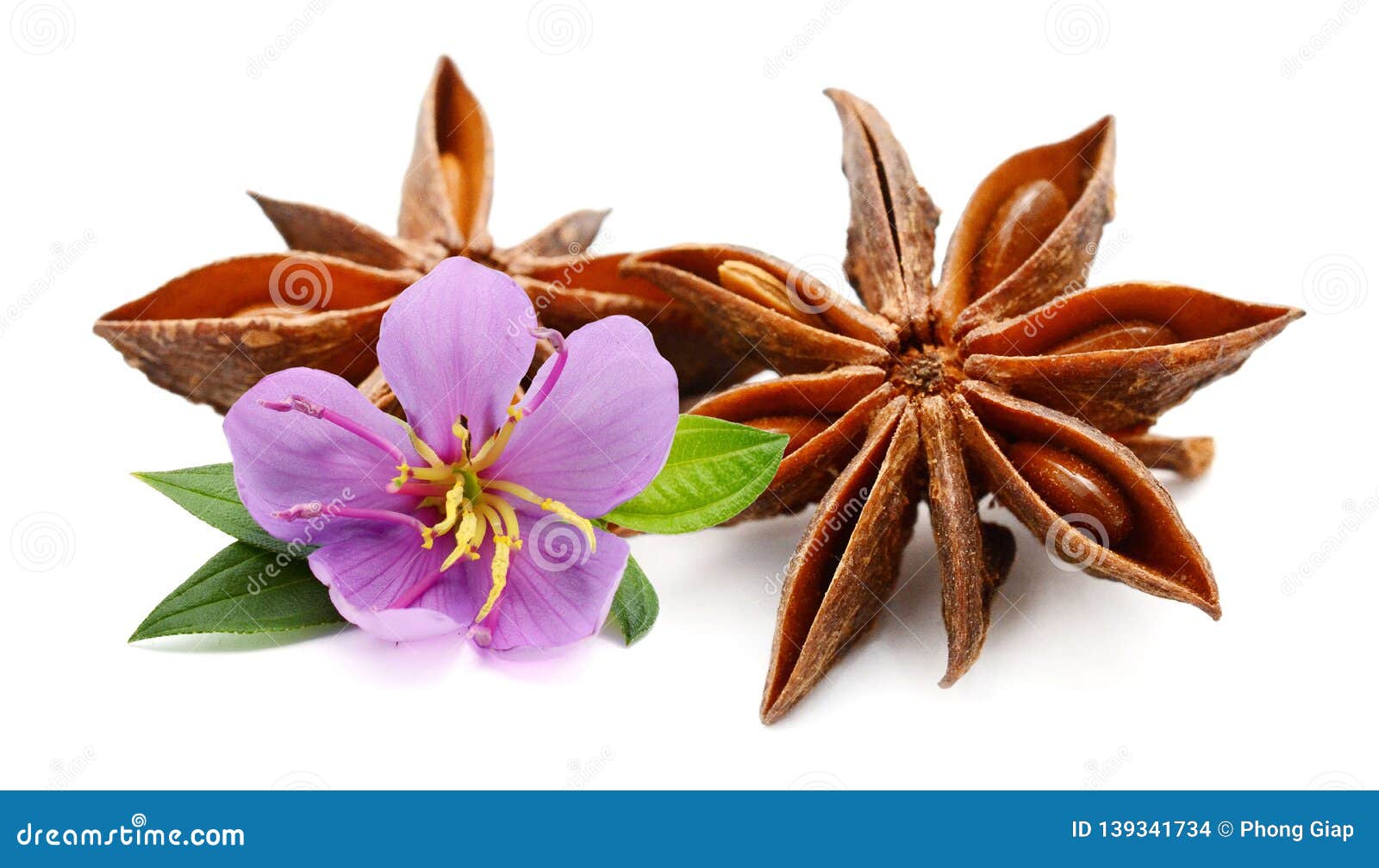 Cinnamon and star anise. stock photo. Image of ingredient 139341734