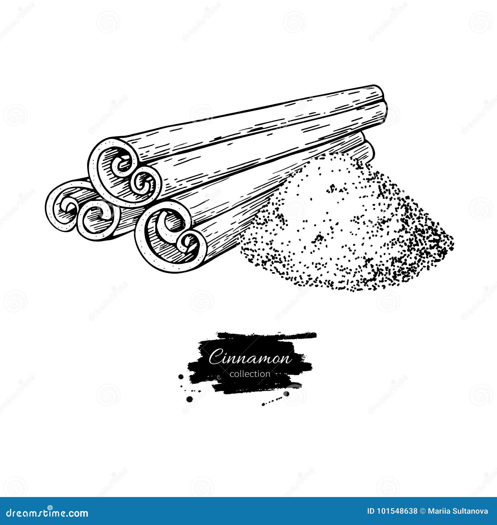 Cinnamon Sketch PNG Transparent Images Free Download  Vector Files   Pngtree
