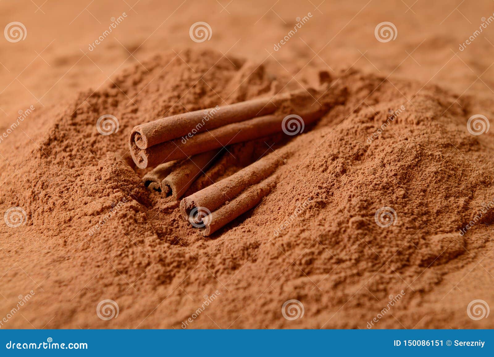 Cinnamon Sticks in Powder, Closeup Stock Image Image of cassia, closeup 150086151