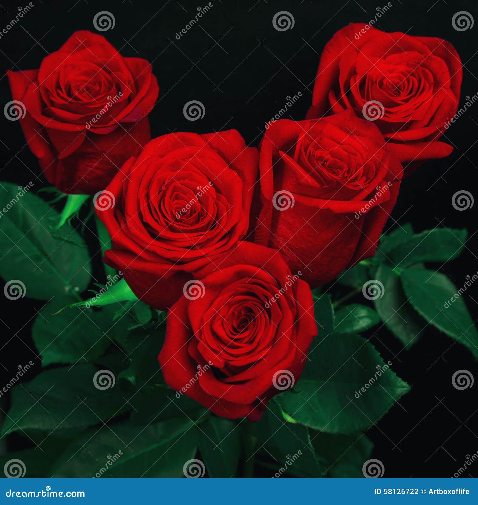 Cinq roses rouges photo stock. Image du concept, rose - 58126722