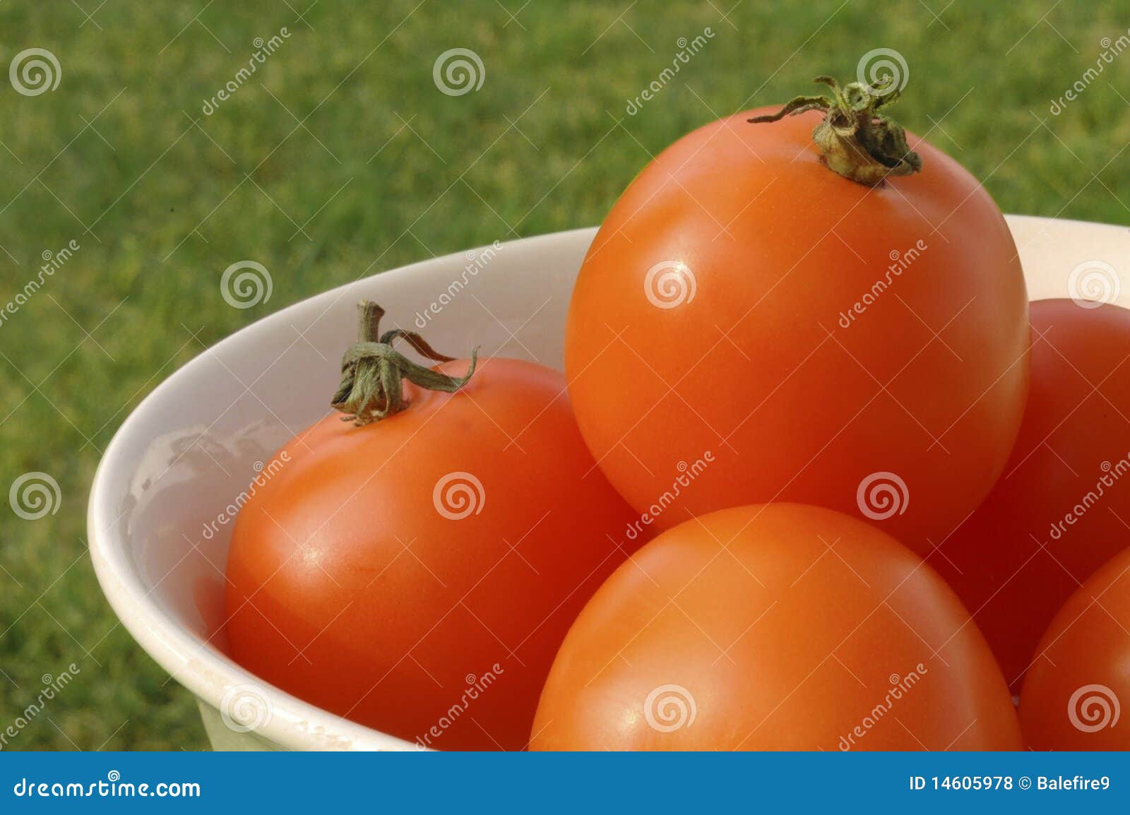 Ciotola Sunlit di pomodori a scarso tasso di acidità arancioni, con erba nella priorità bassa.