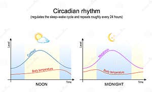 Body Temperature Circadian Rhythm Graph Factory Sale Www jkuat ac ke