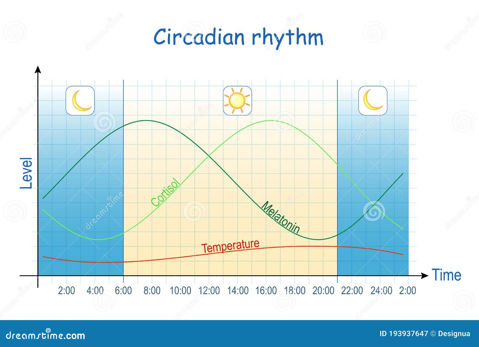 Ritmo circadiano cortisol