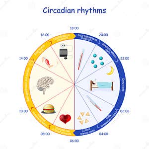 Rhythms Cartoons Illustrations Vector Stock Images 278 Pictures To 