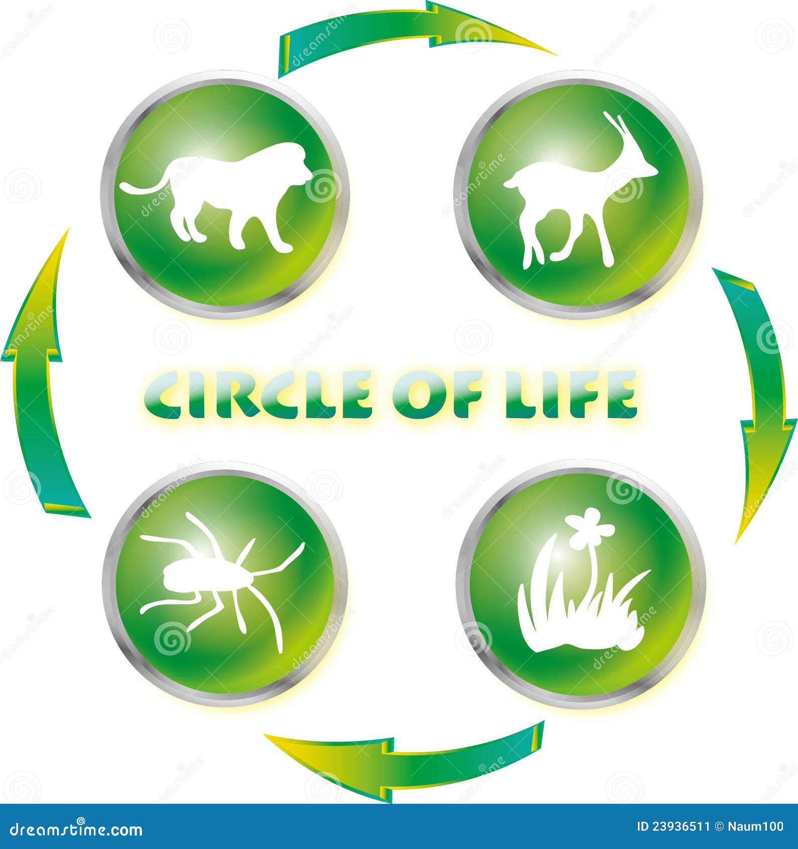 Circle Of Life Stock Illustration  Illustration Of Planet