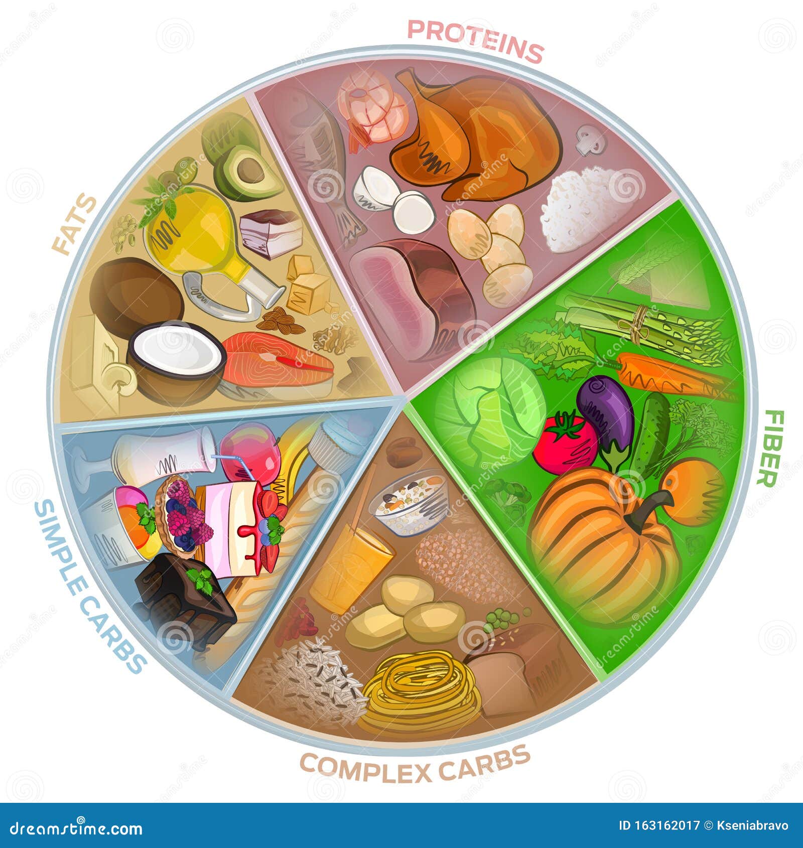 The Circle of Nutrition, Food Watercolor, Vector Illustration Stock