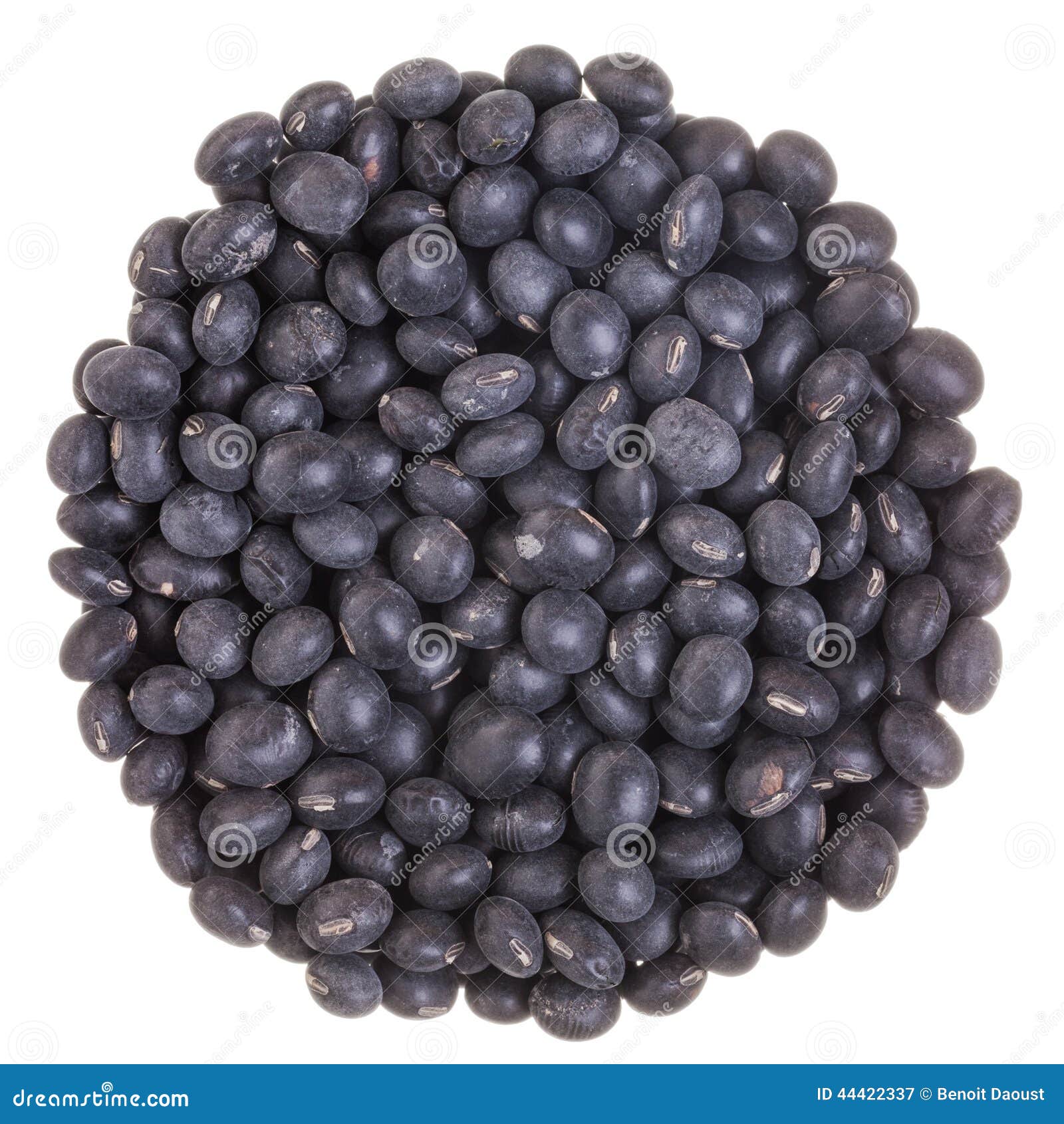 Circle Texture of Black Soy Beans Stock Image Image of group, natural