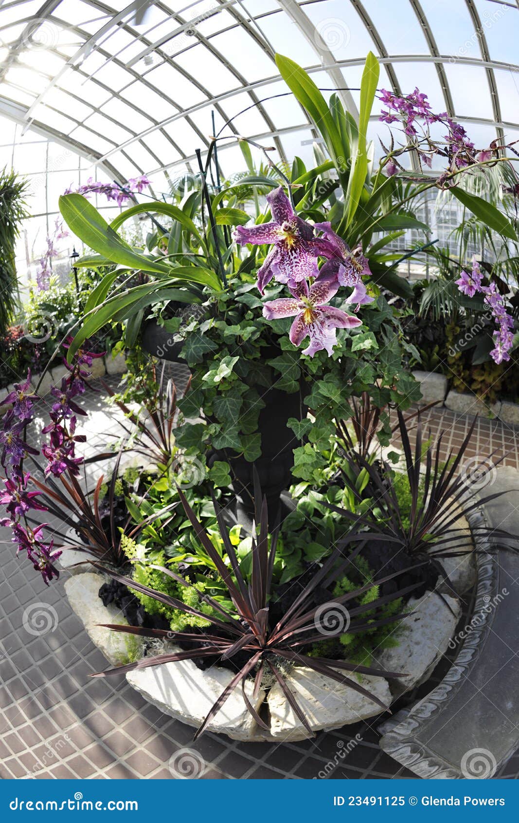 Circular Plantings stock image. Image of greenhouse, green 23491125