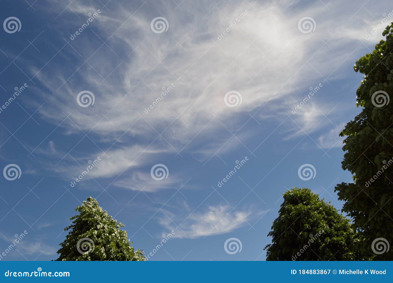 Cirrocumulus Cloud Patch Above Trees Horizontal Stock Image Image Of Ecological High Cirrocumulus Cloud Patch Above Trees Horizontal Stock Image Image Of Ecological High