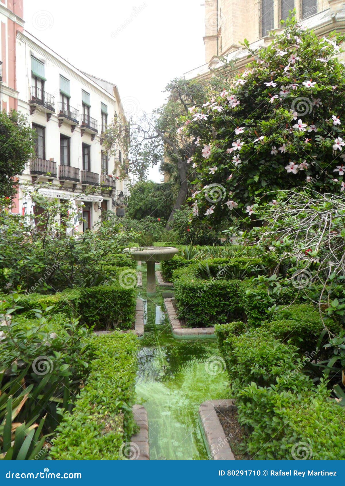 cister street -cathedral gardens-malaga