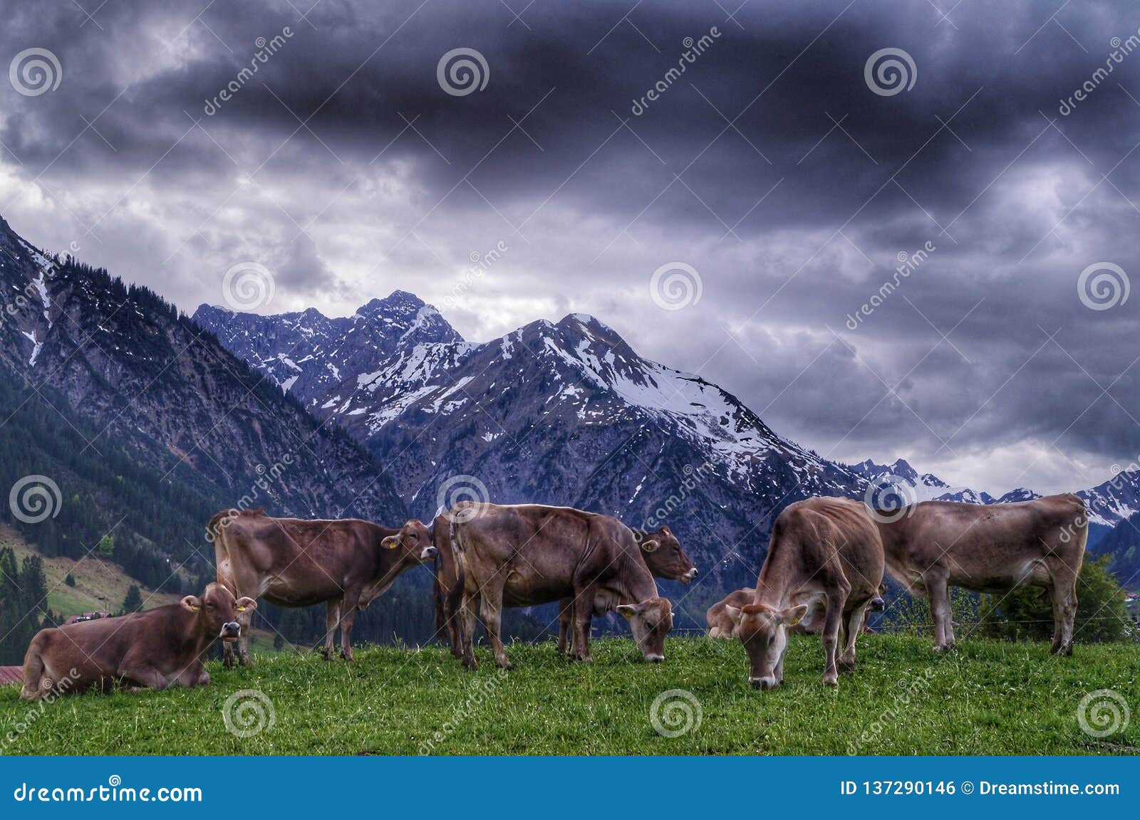 Cisza przed burzą, Mittelberg. Cisza przed burzą Burzowy niebo w alps halnych Mittelberg, Austria, Europa