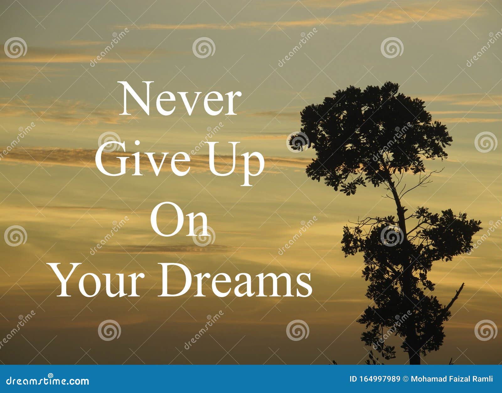 Never give up on your dreams - nunca desista dos seus sonhos