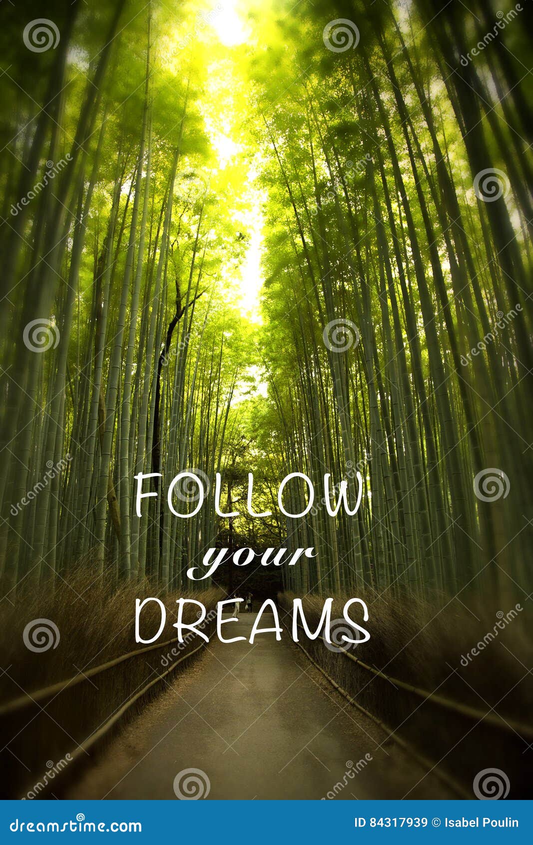 Citation Avec La Foret En Bambou Image Stock Image Du Bambou Conception