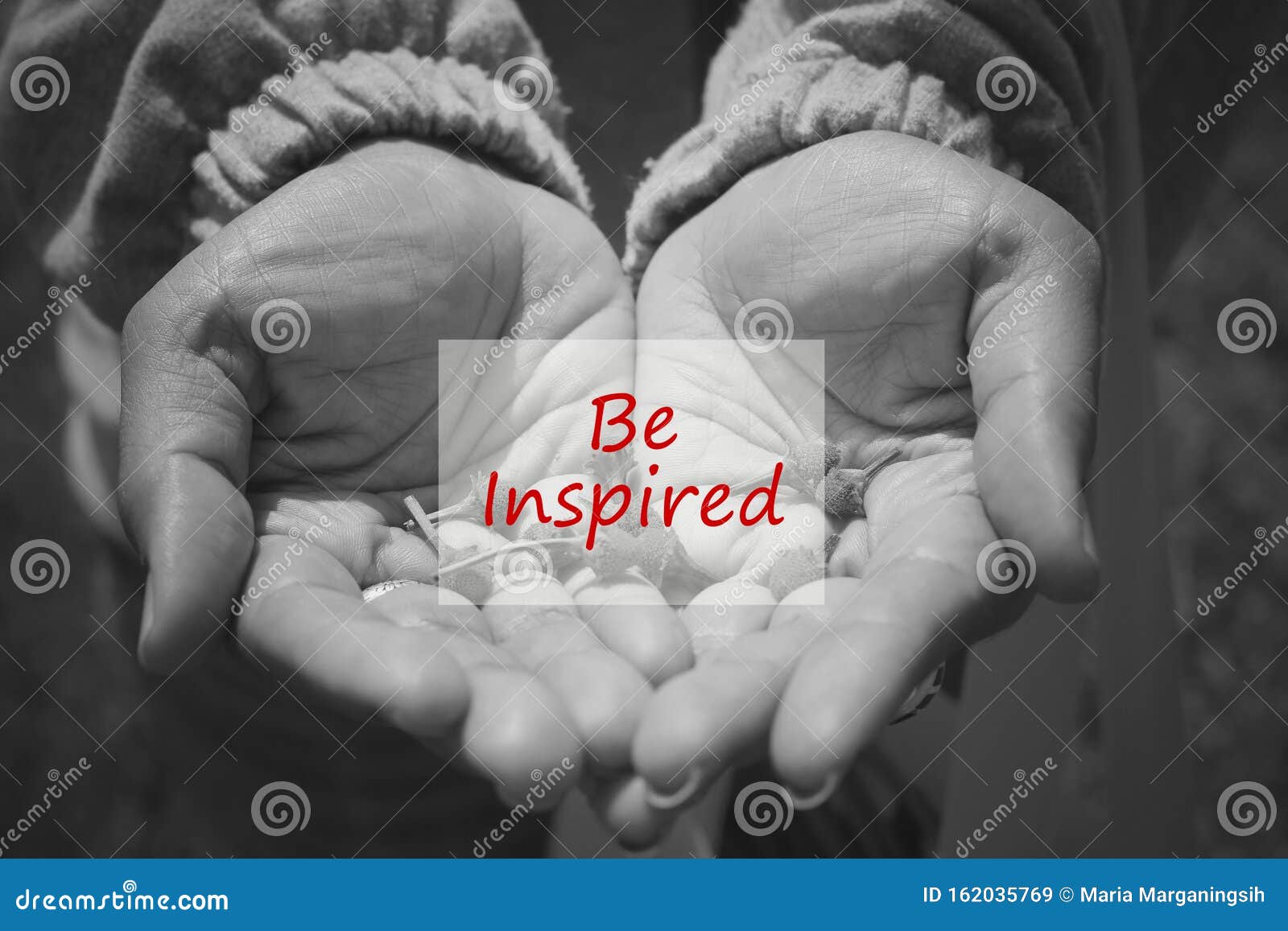 Citation Inspirante Etre Inspire D Une Main Ouverte En Noir Et Blanc L Amelioration De Soi Et Le Concept De Sagesse Image Stock Image Du Affaires Doigts