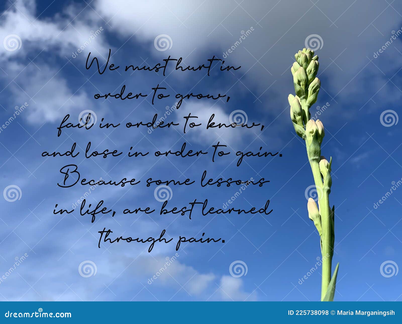 Citation Inspirationnelle Que Nous Devons Blesser Pour Grandir Echouer Afin De Connaitre Et Perdre Afin De Gagner Photo Stock Image Du Defaillir Encouragez
