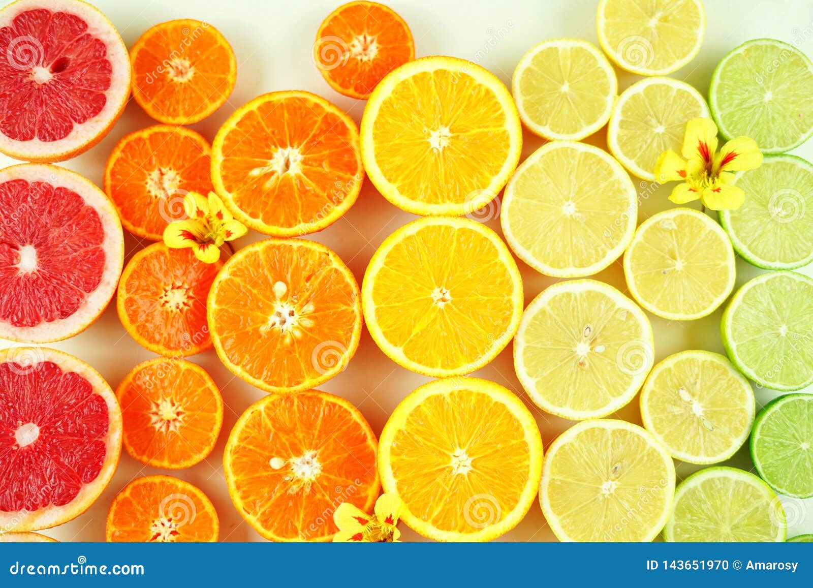 Citrus Fruit Including Blood Grapefruit Mandarins Oranges Lemons And Limes Stock Photo Image Of Ingredient Diet