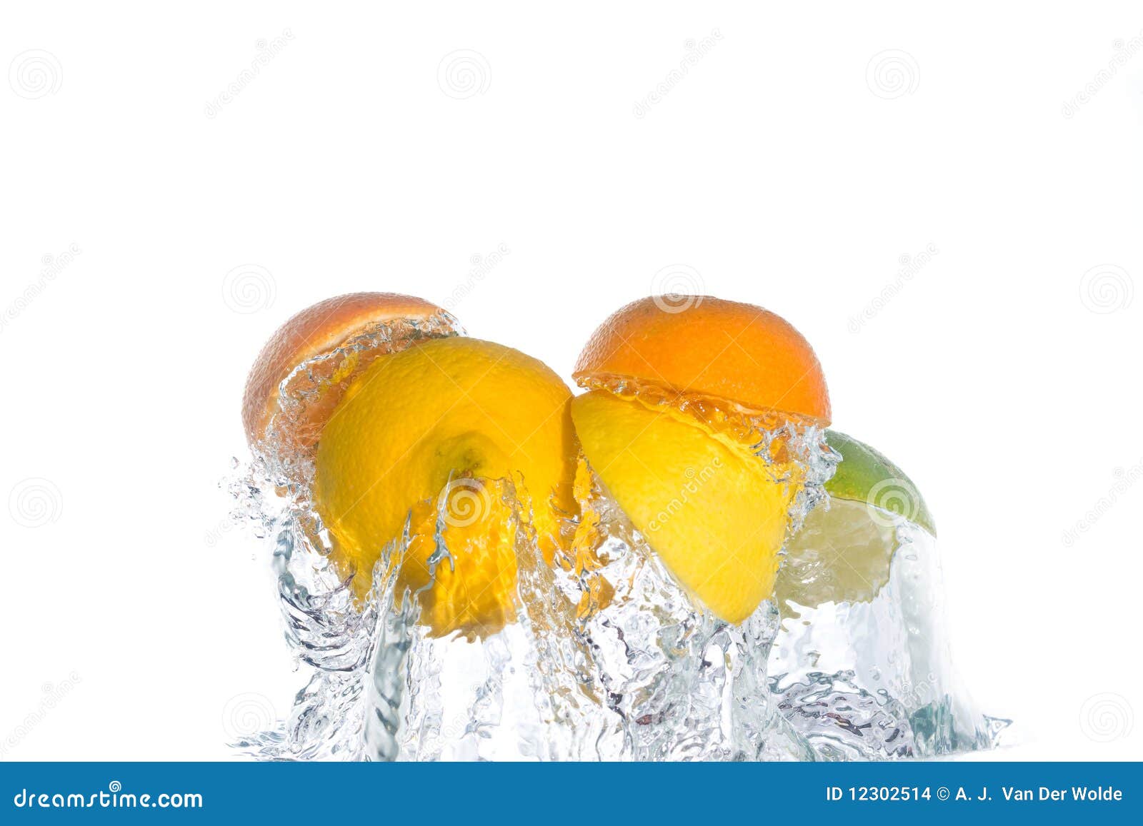 Citrus Fruit Jumping Out of the Water Stock Photo Image of macro